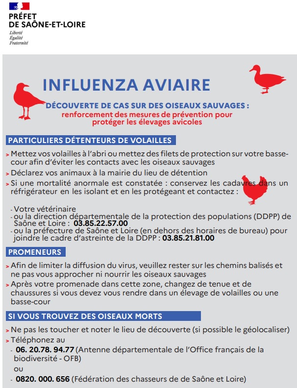 affiche