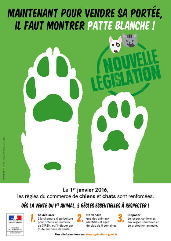 animaux